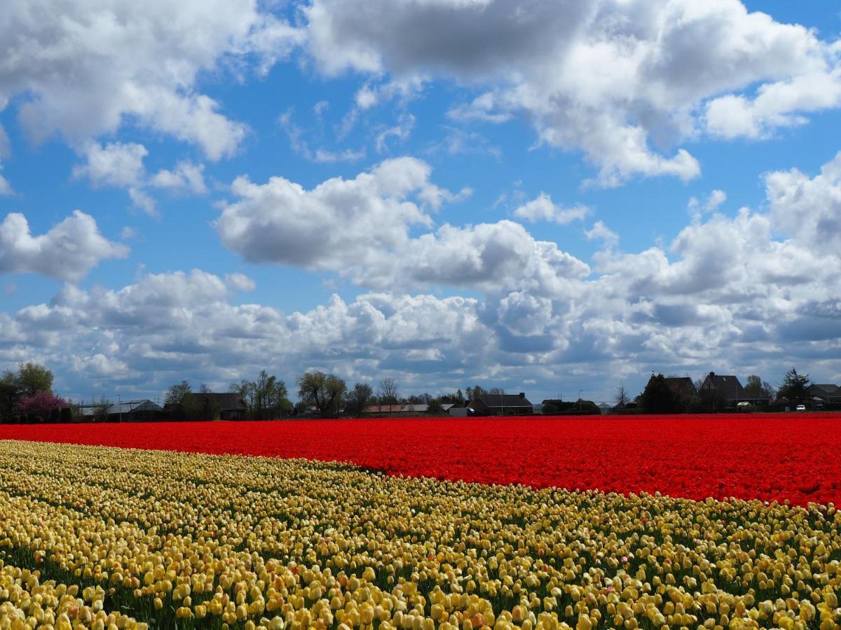 Polderlodge ヒルレーゴム エクステリア 写真