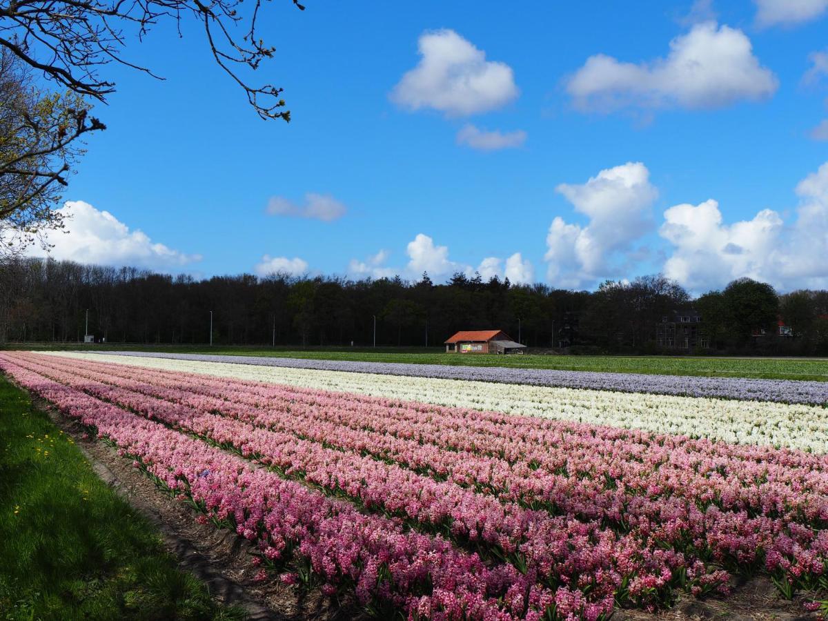Polderlodge ヒルレーゴム エクステリア 写真